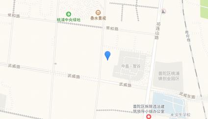 上海金隅·公园东序普陀 李子园/建面100平-184平