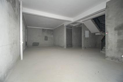 合肥观澜天下5室3厅390平低楼层/共1层