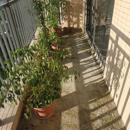 北京金河湾4室2厅143平中楼层/共29层