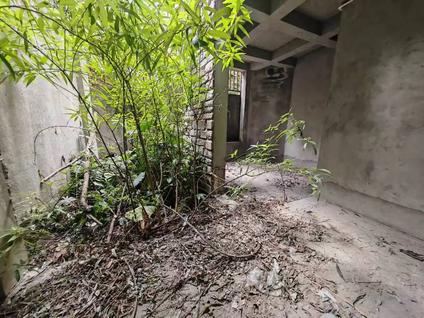 北京天盛长岛5室2厅236平低楼层/共5层