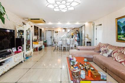 北京世纪宝鼎公寓4室2厅230.5平高楼层/共24层