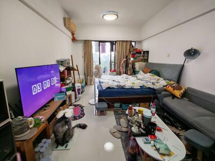 北京花样年华1室0厅40平低楼层/共22层