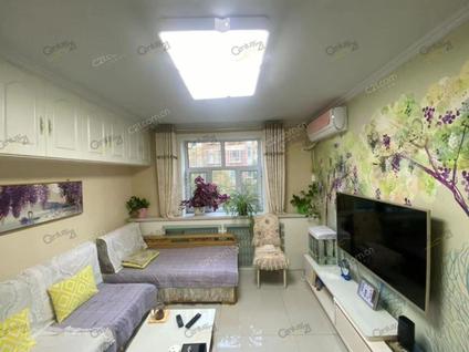 北京专汽小区1室1厅47.14平低楼层/共6层