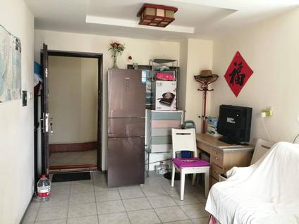 北京凤凰水城1室1厅52.53平中楼层/共18层