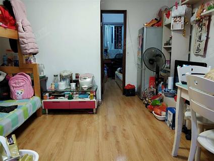 深圳大地花园2室1厅48.61平低楼层/共26层