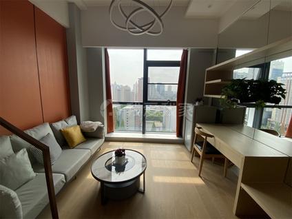 南京金轮峰华1室1厅37平高楼层/共16层