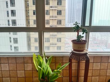 北京尚街国际新天地3室2厅124平中楼层/共30层