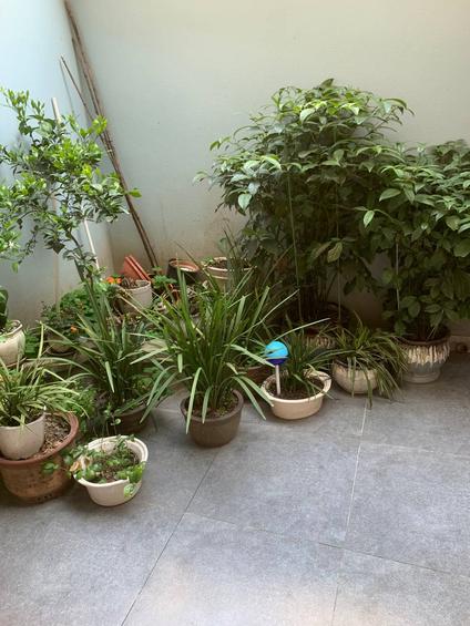 北京李家洋路5室2厅356.2平-