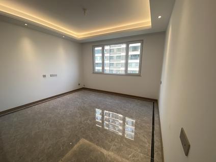 3室2厅 大兴正荣府效果图