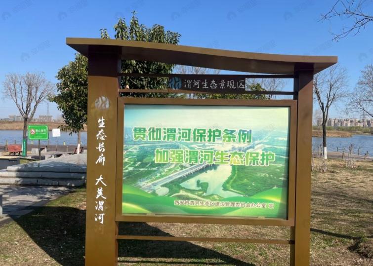 白桦林观澜效果图