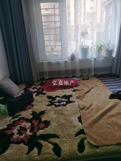 2室2厅 宝地星河城(B区)效果图