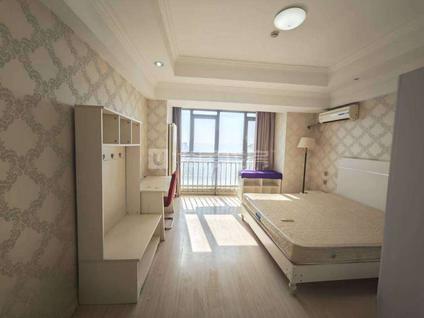 北京万达广场(新区东路)1室0厅42平高楼层/共27层