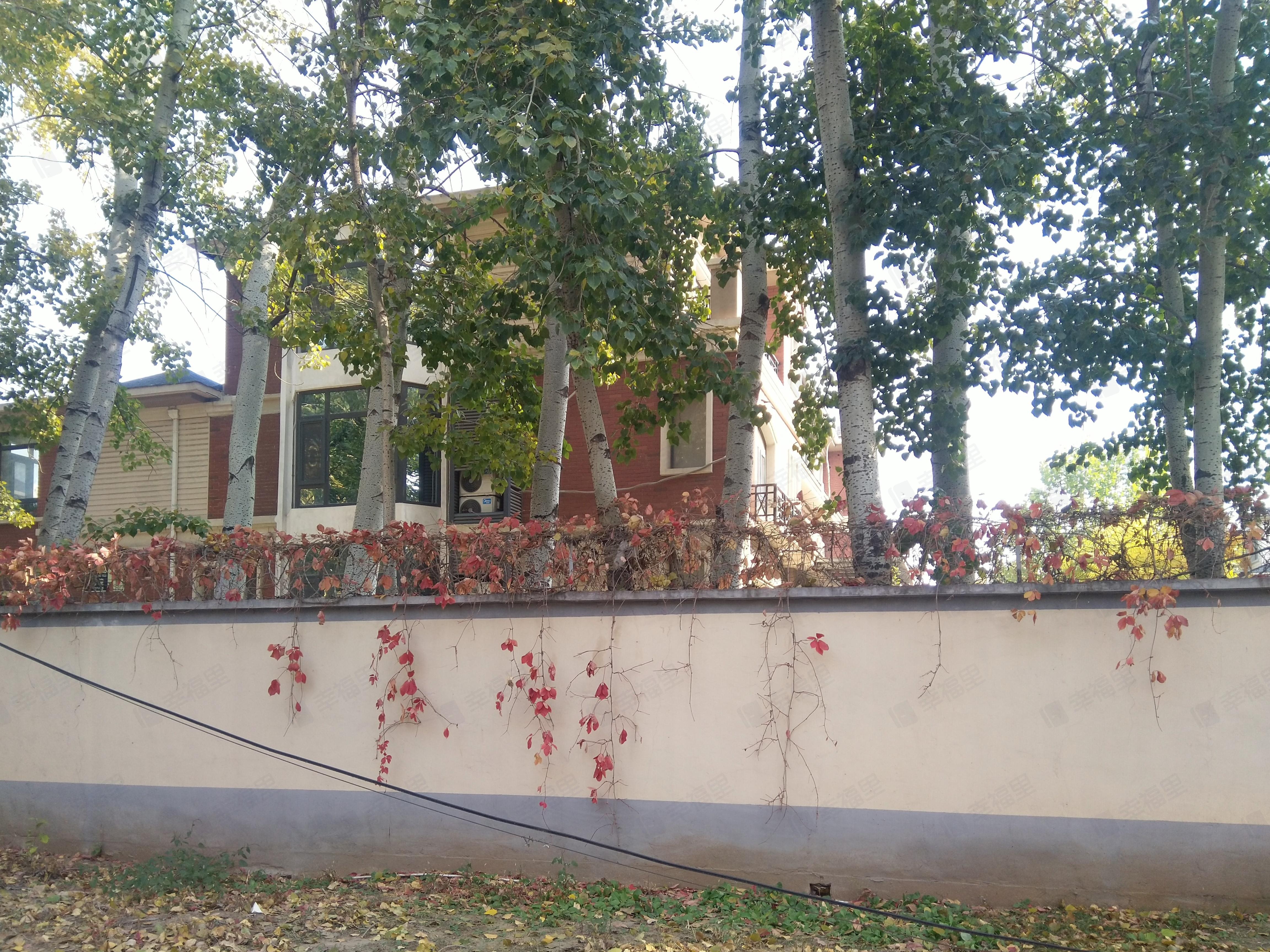 CBD玲珑墅小区效果图