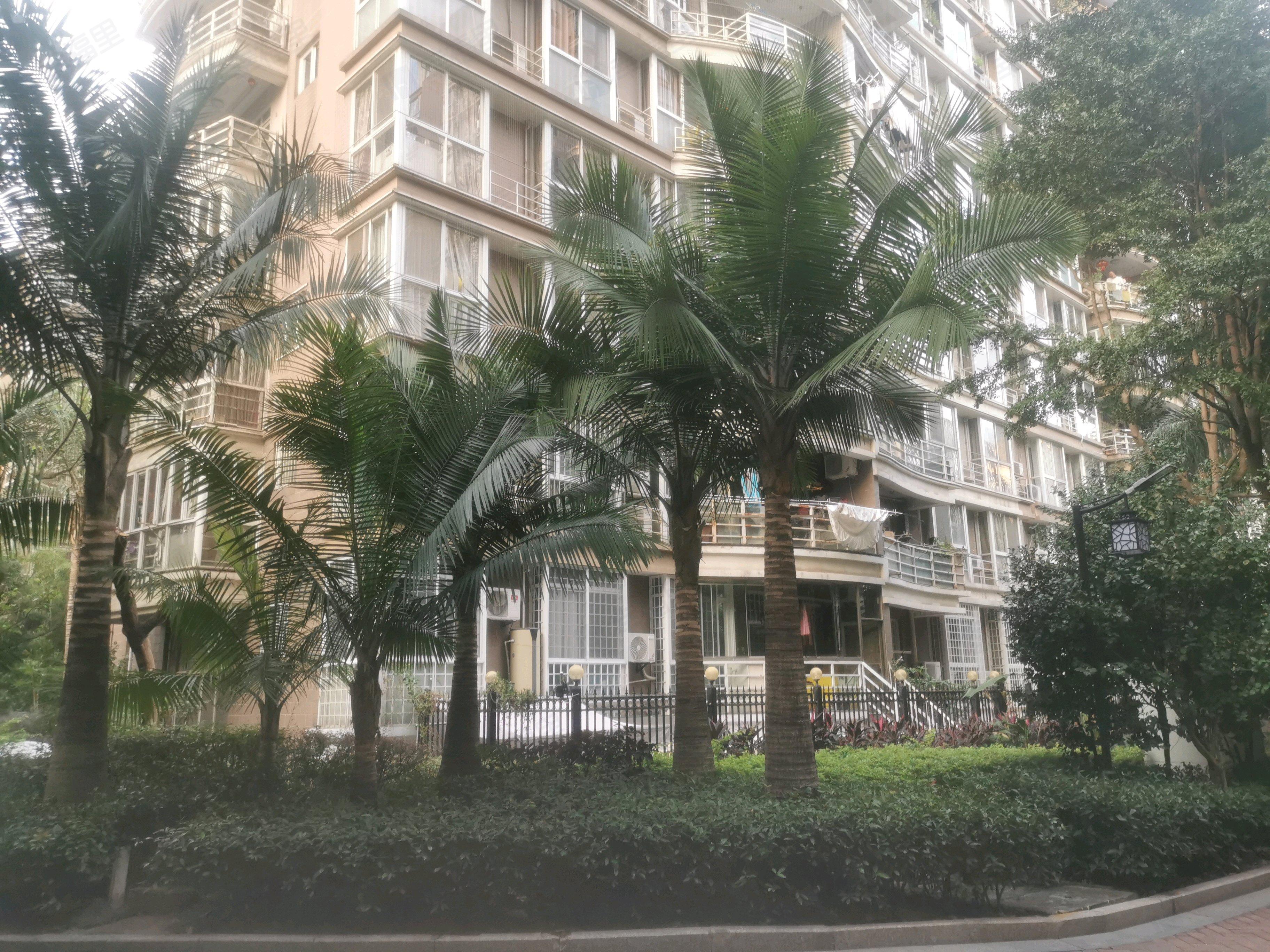 中城名仕汇小区效果图