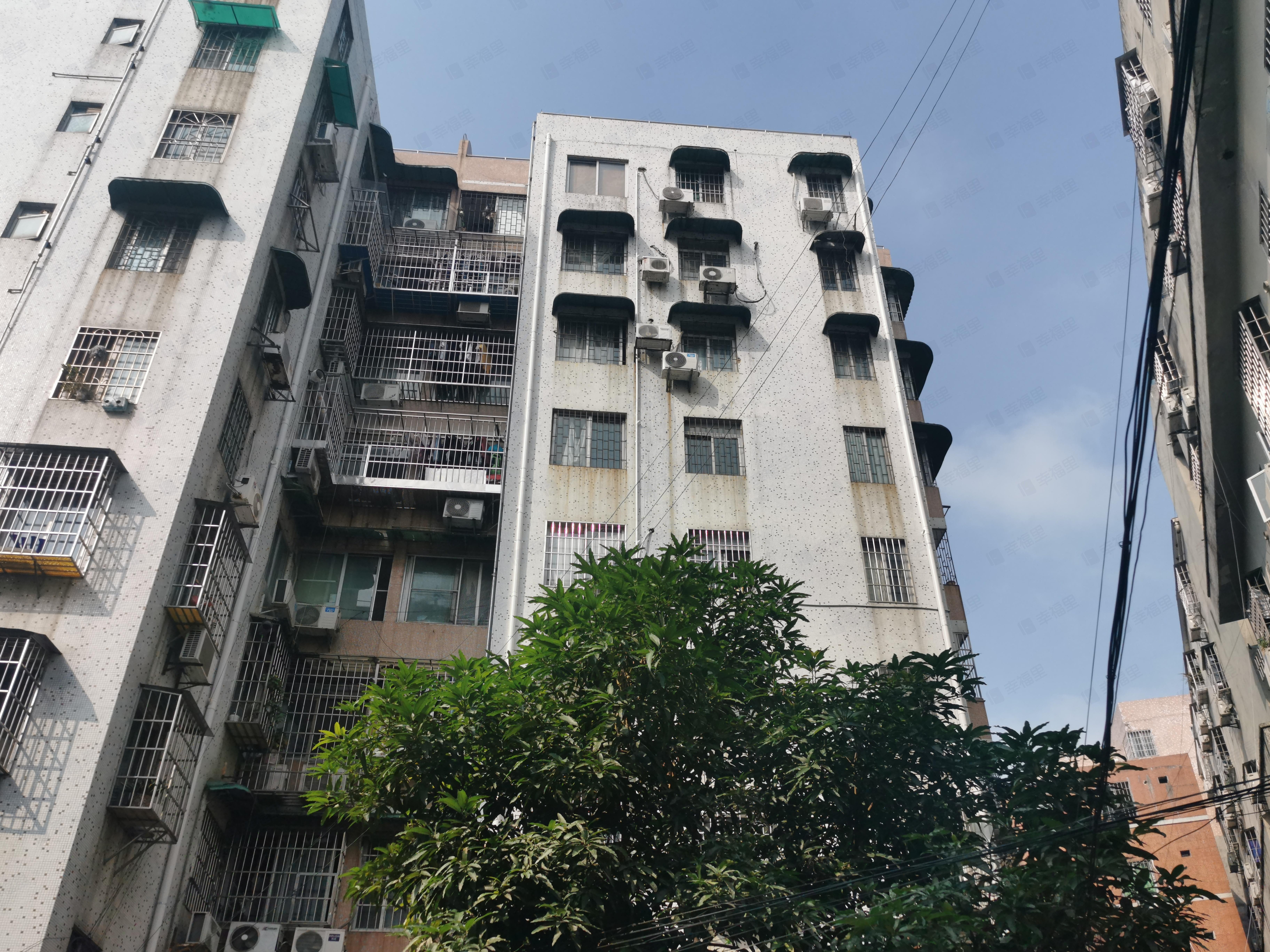 交通局宿舍(天河)小区效果图