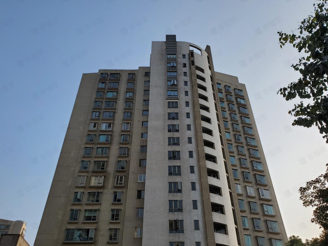 上海浦东-杨东/2004年建万源杰座