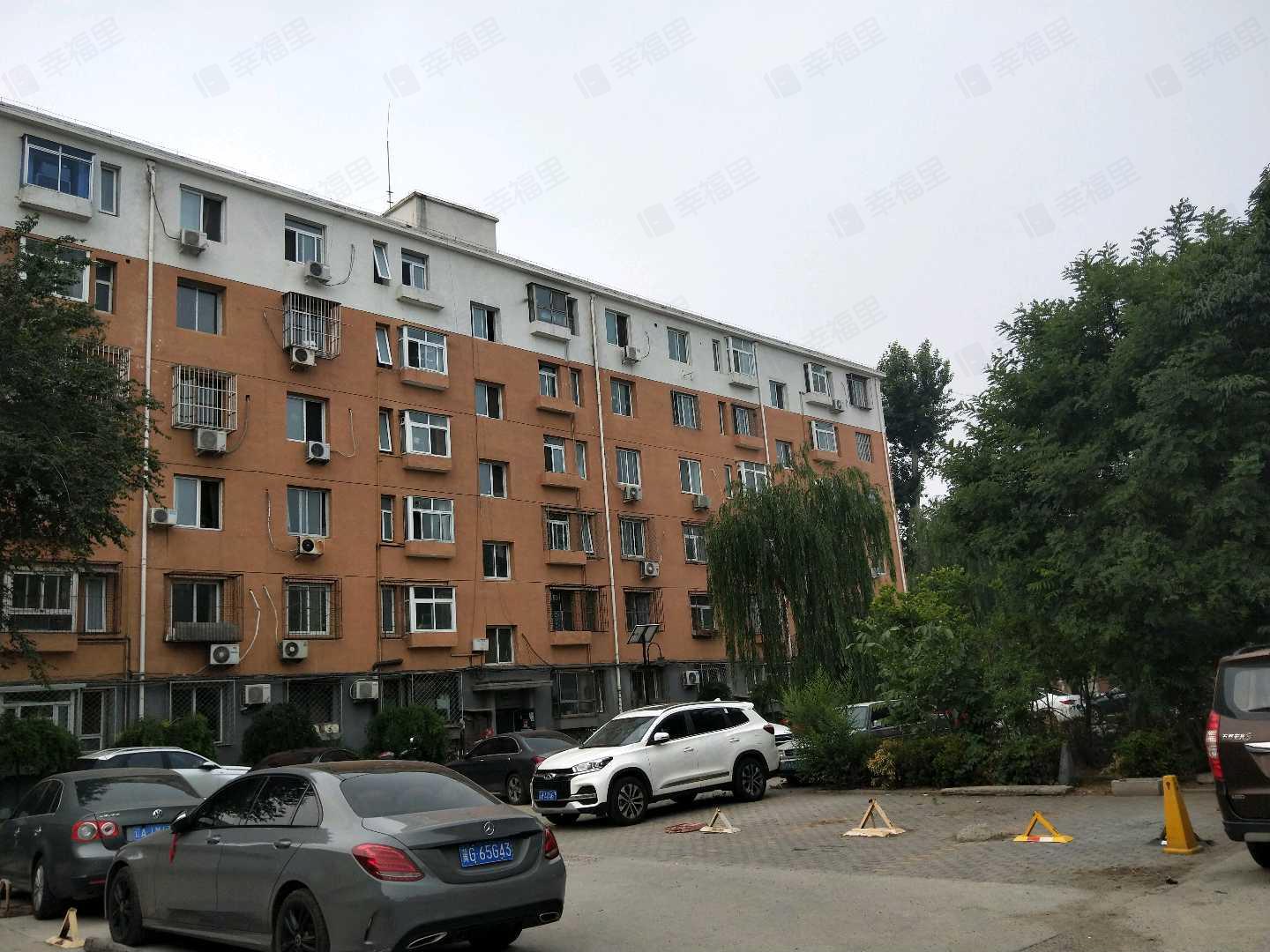 卫生局宿舍楼小区效果图