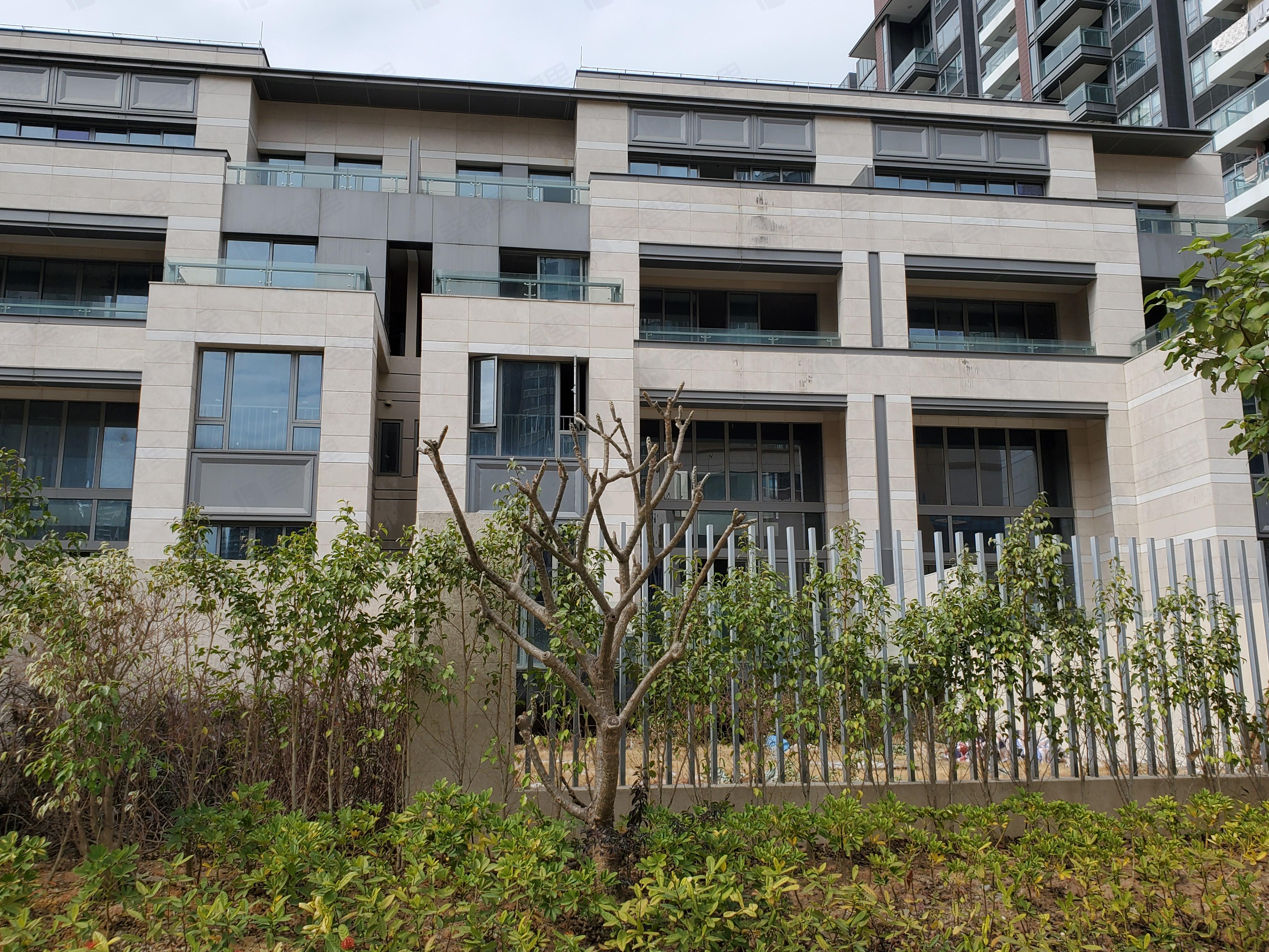 红树别院小区效果图