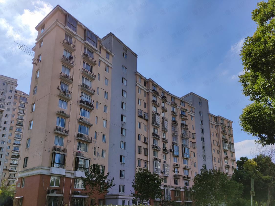 上海浦东-杨思/暂无年代三林世博家园(C区)