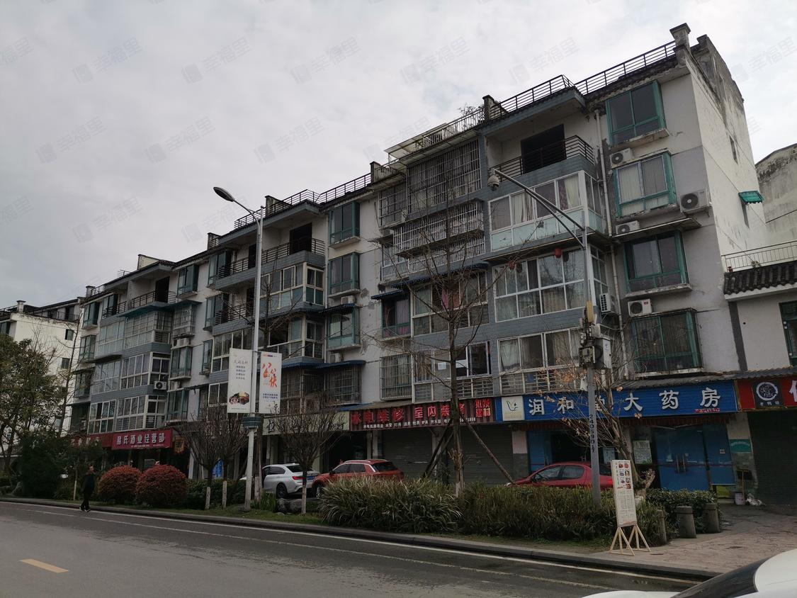 成都郫都-三道堰/2007年建望阳居