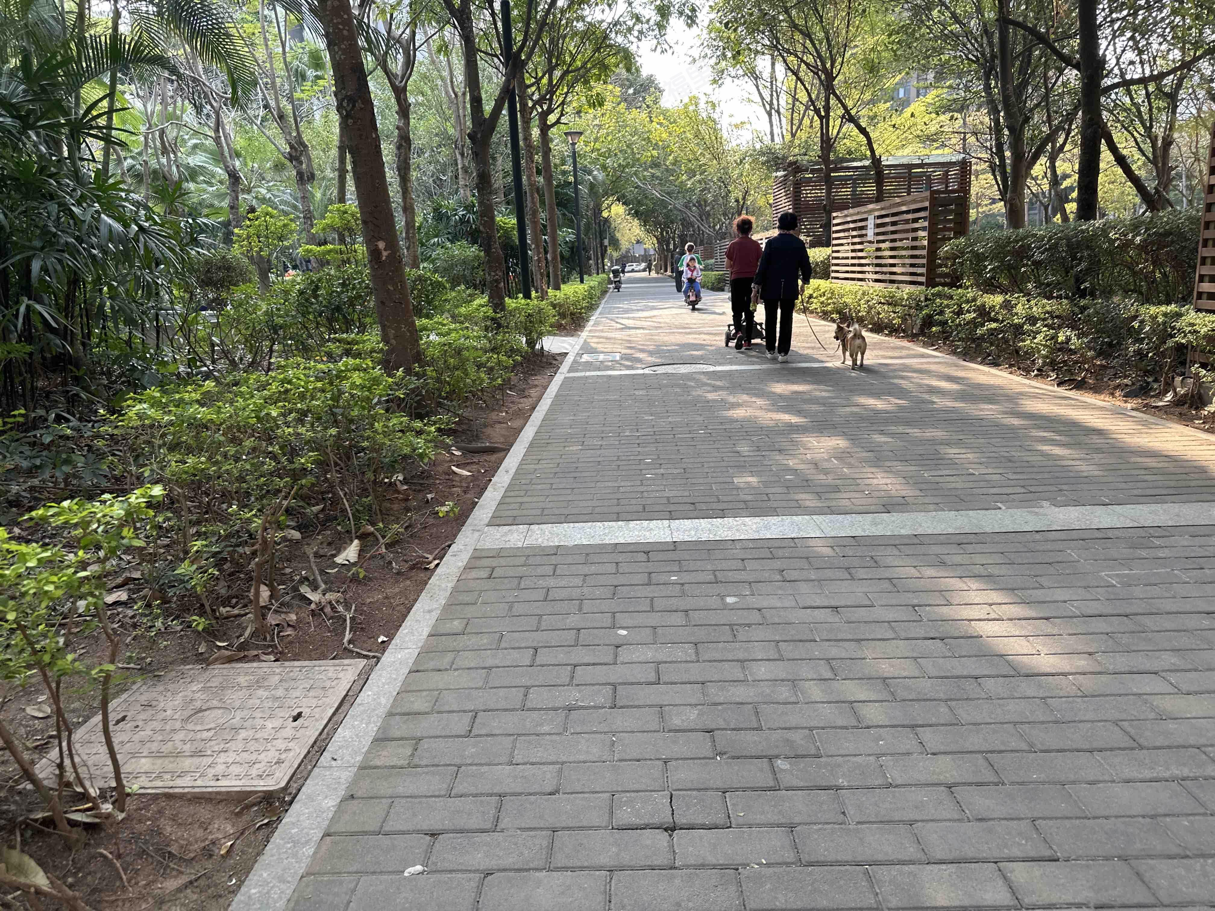 鼎太风华(三期)小区效果图