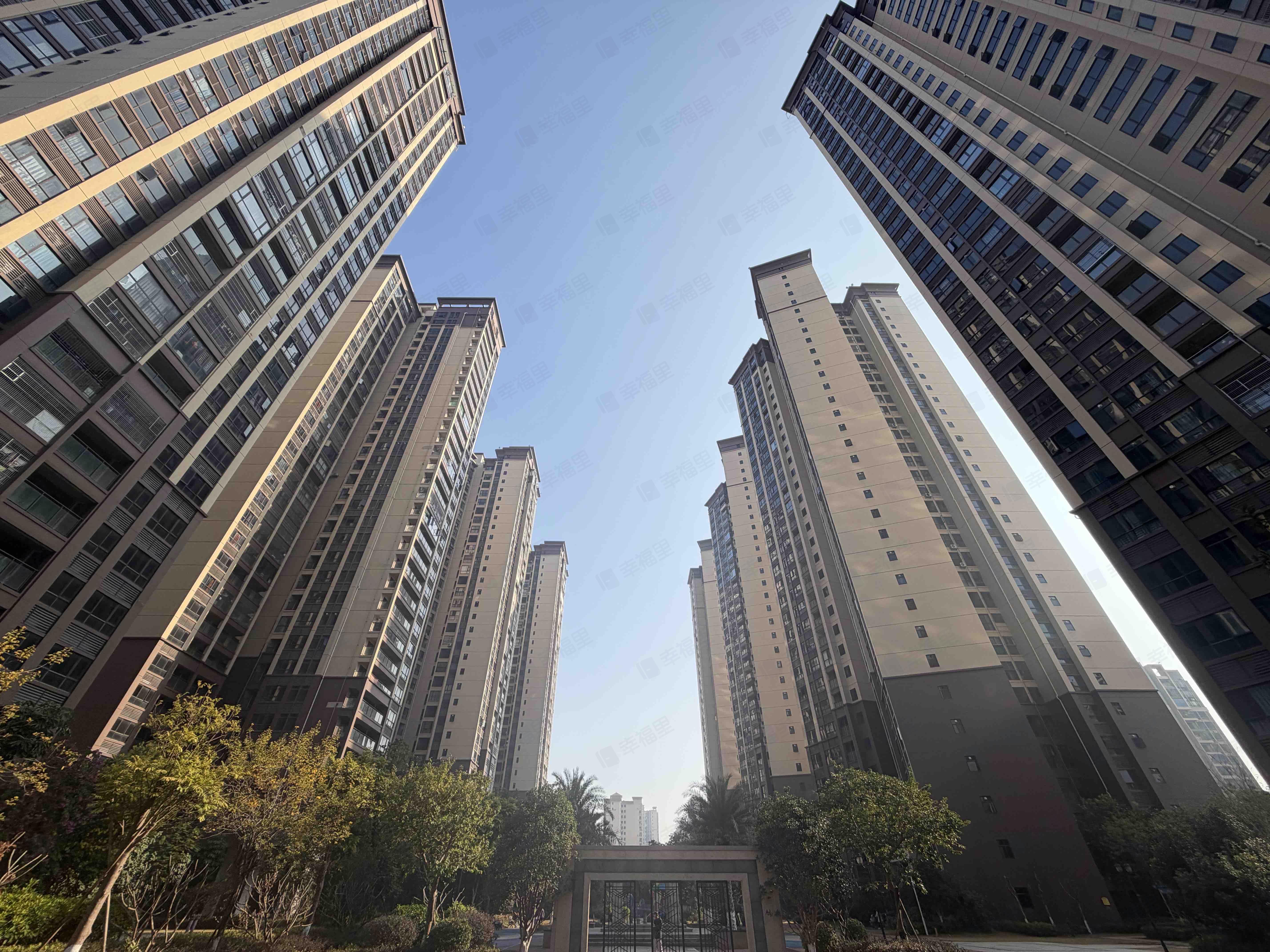 新河中央小区效果图
