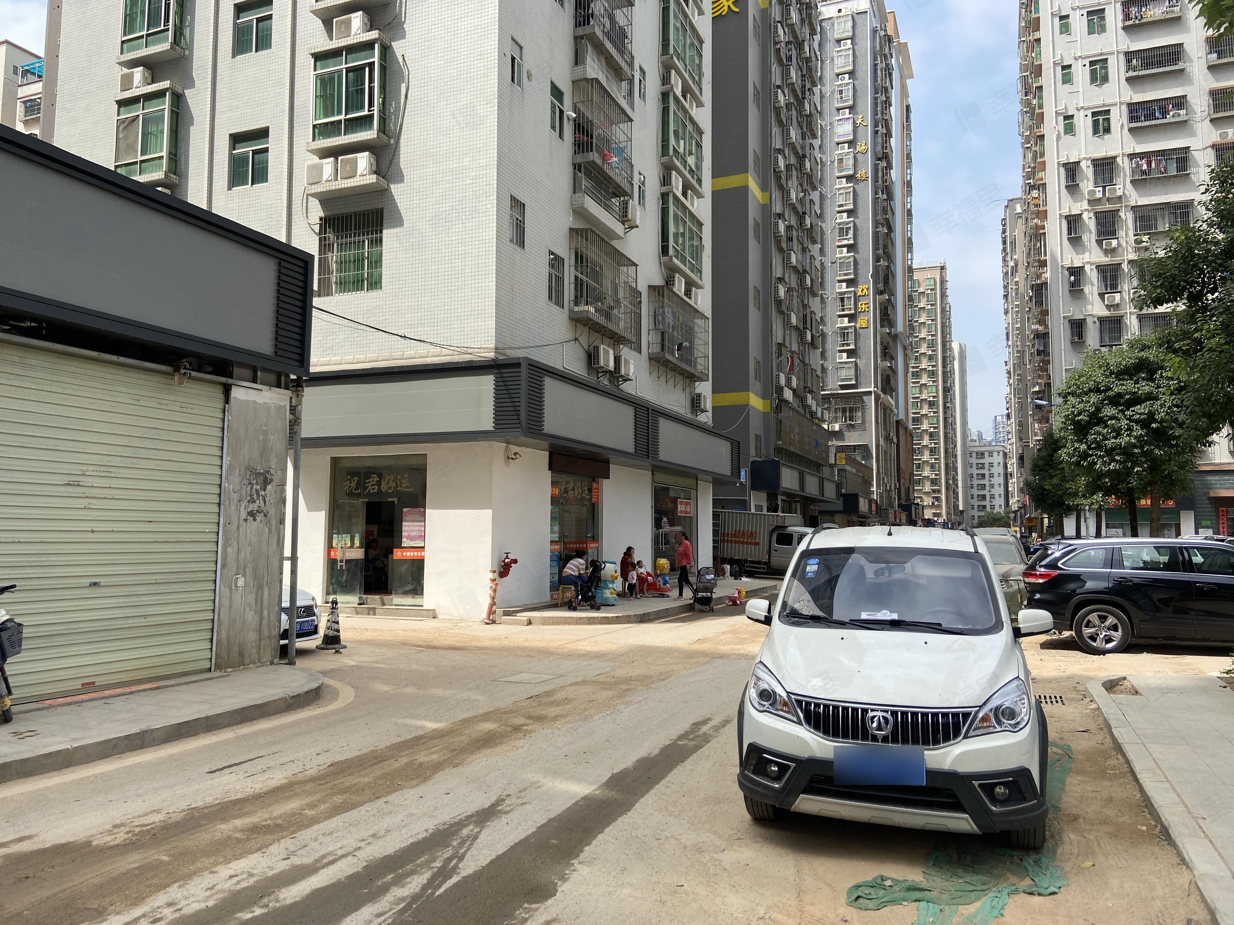 新湖花园(宝安)小区效果图