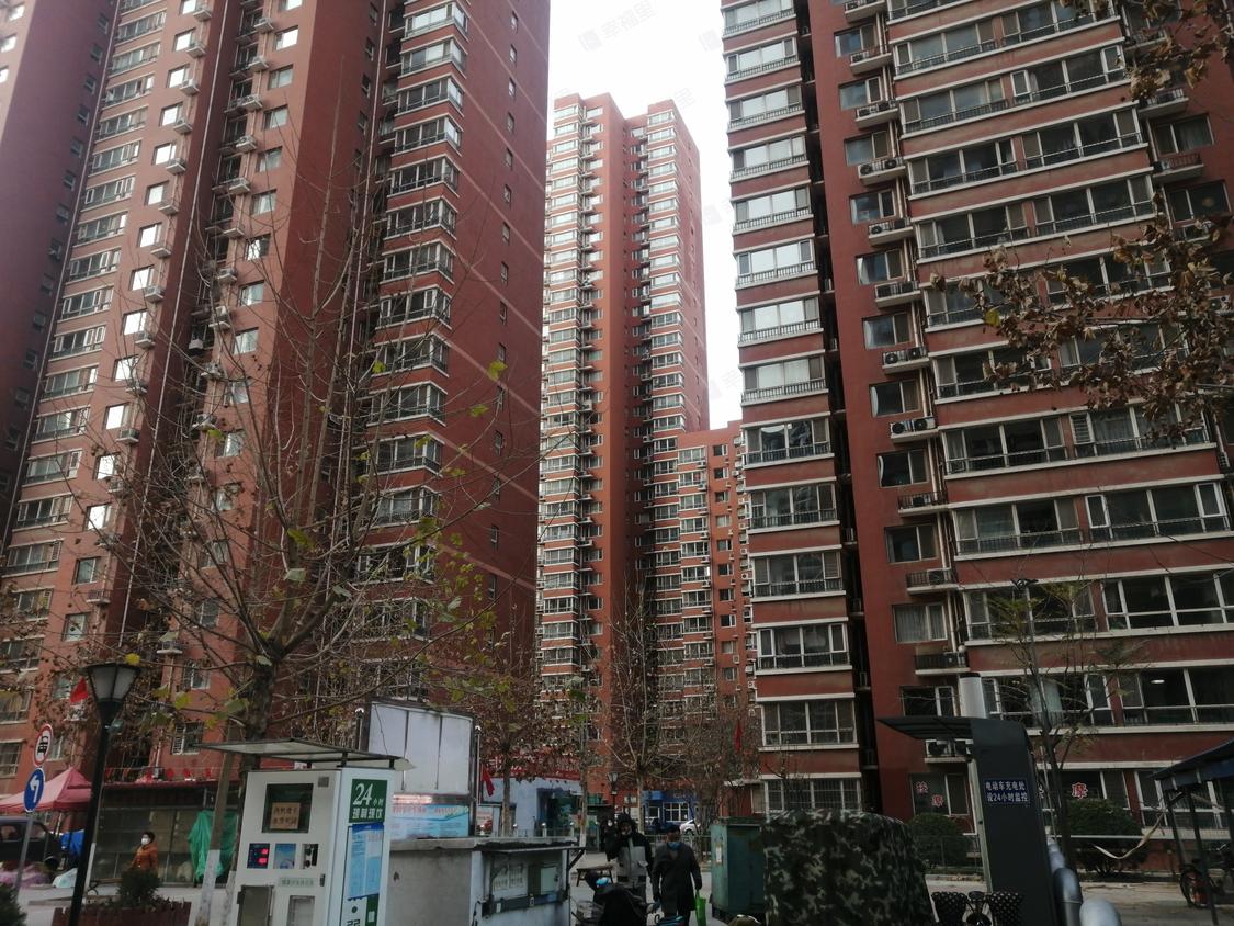 石家庄桥西-大经街/2010年建天滋嘉鲤(北区)
