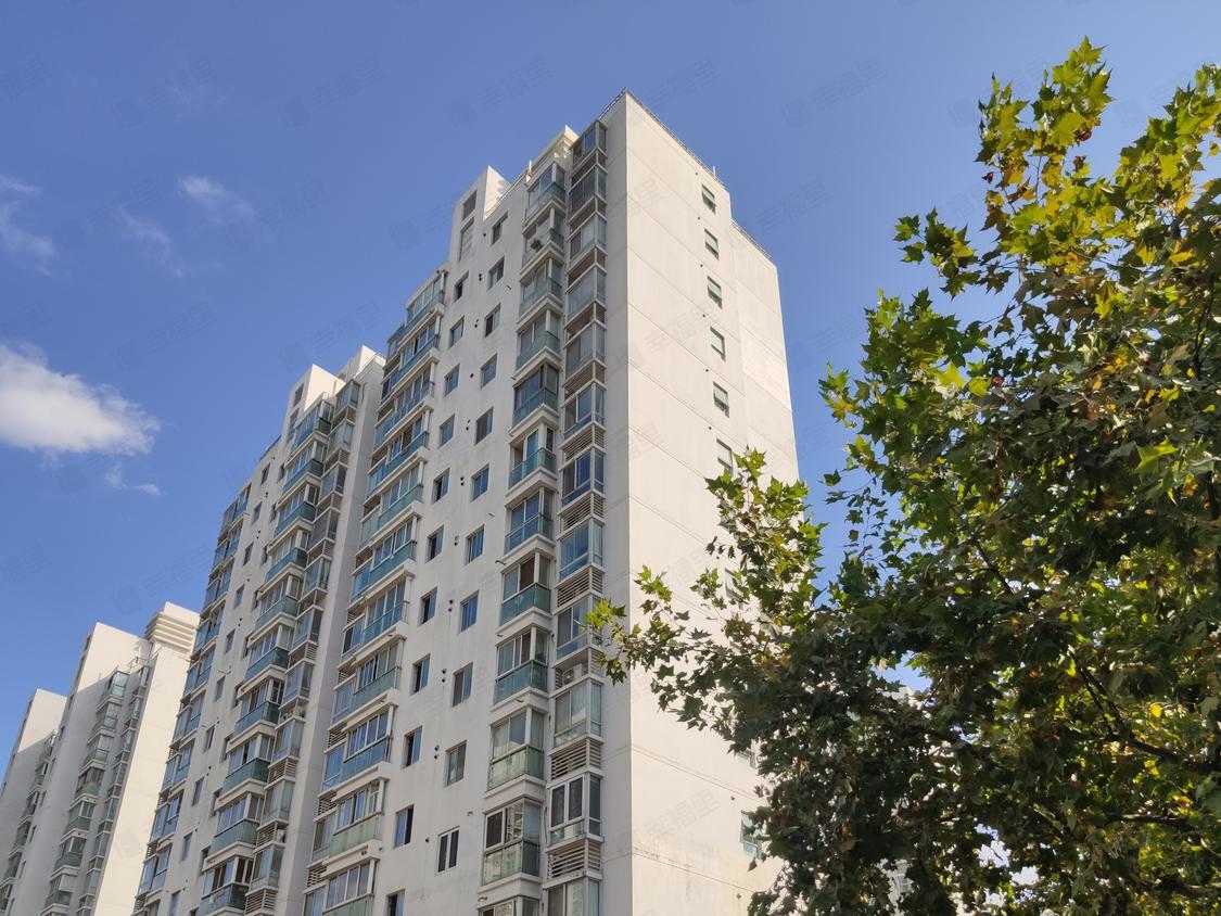 上海浦东-杨东/2007年建锦绣花木公寓