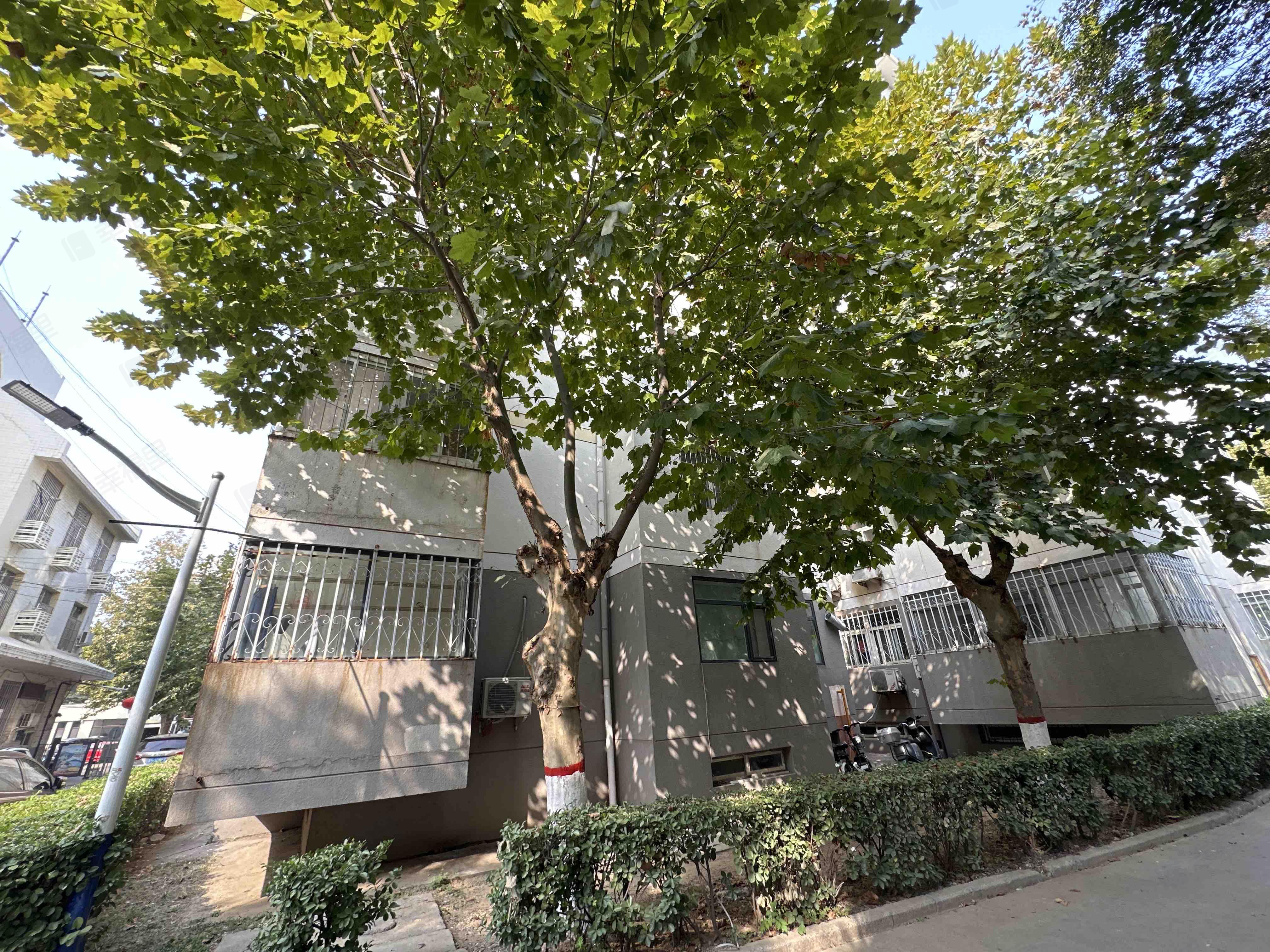 省直玉成小区(东区)小区效果图