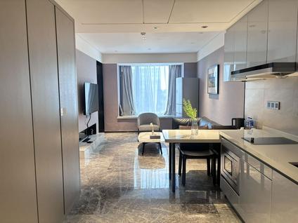 高新金融城整租 誉峰遇见1室1厅/50平/中楼层