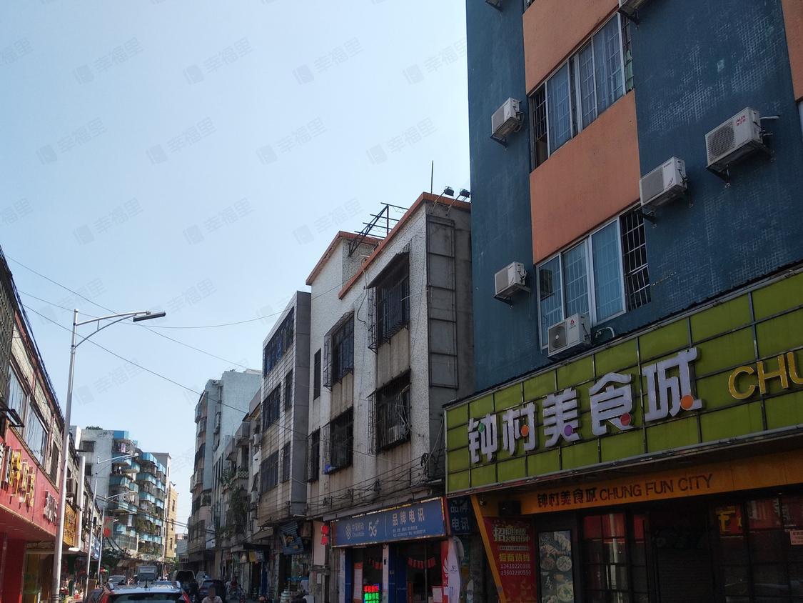 广州番禺-钟村/暂无年代解放路75号小区