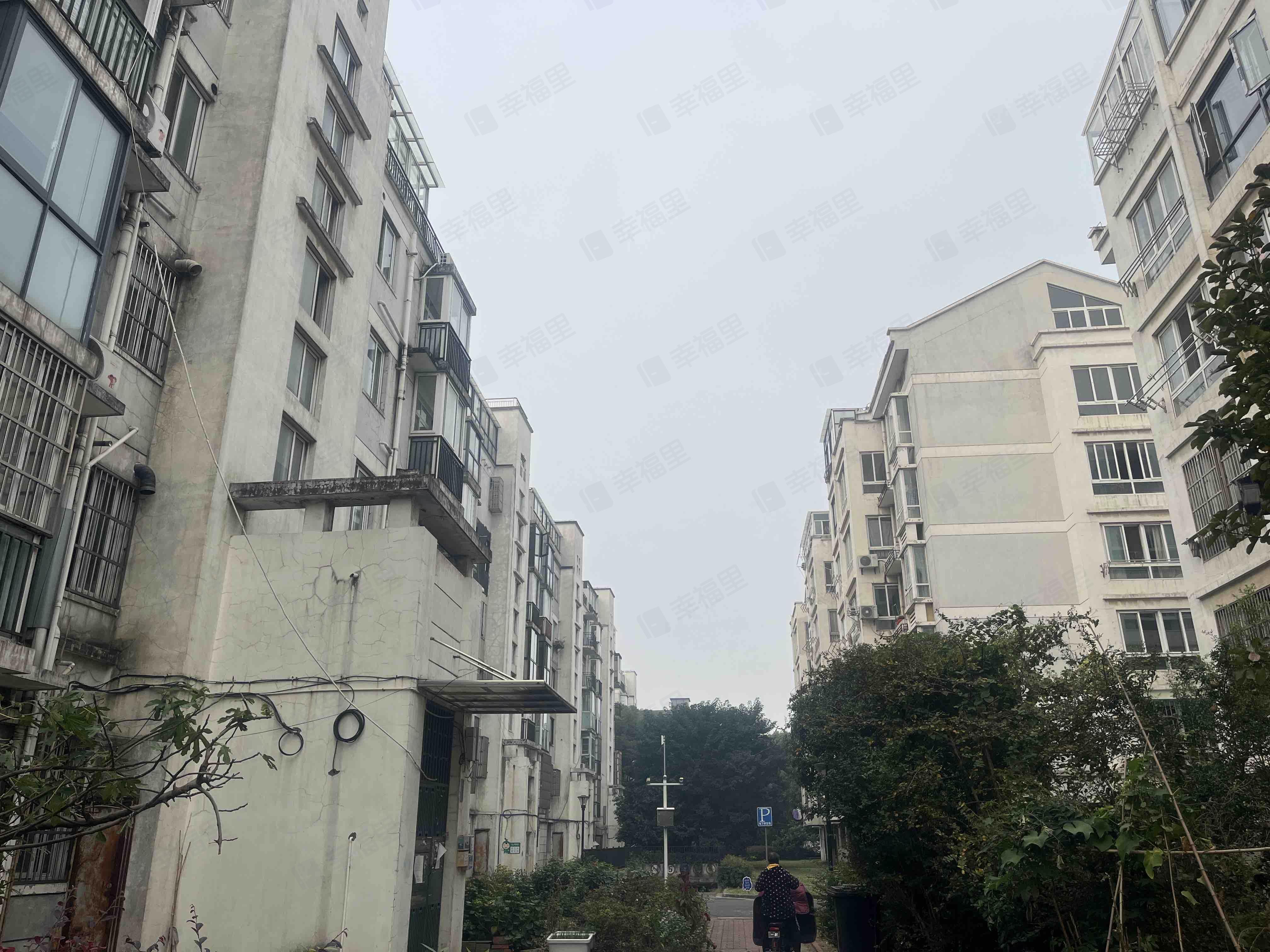 虹景金桂园小区效果图