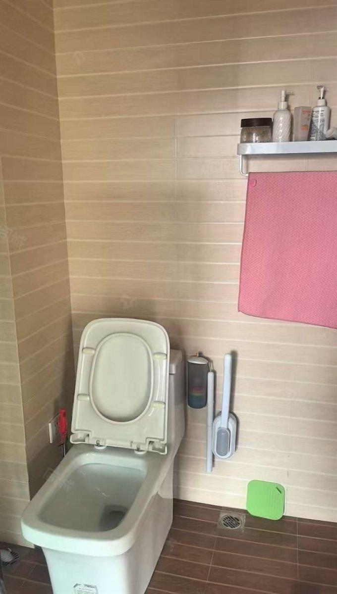 整租·紫金江尚