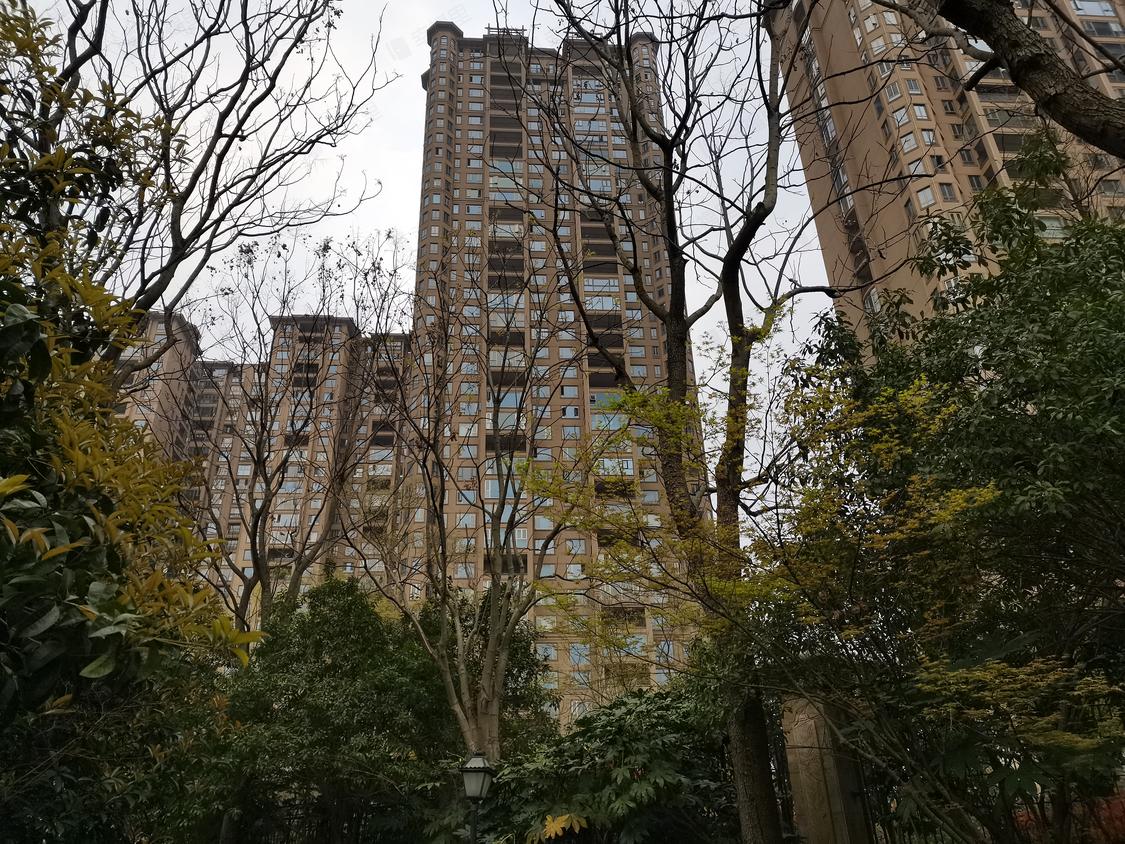 长沙开福-湘江北路/2015年建楚天逸品