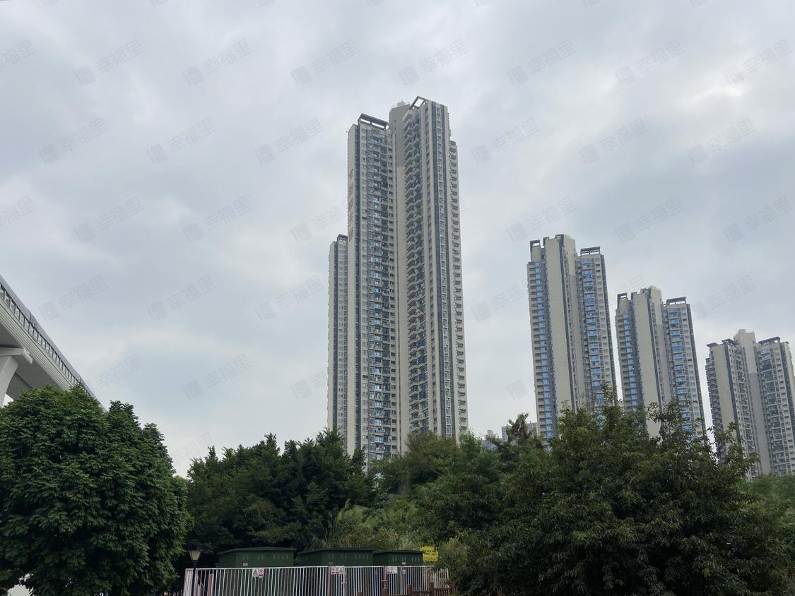 深圳龙华-大浪/暂无年代港铁天颂