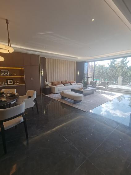 北京盛唐碧水芸天4室2厅225平底层/共1层