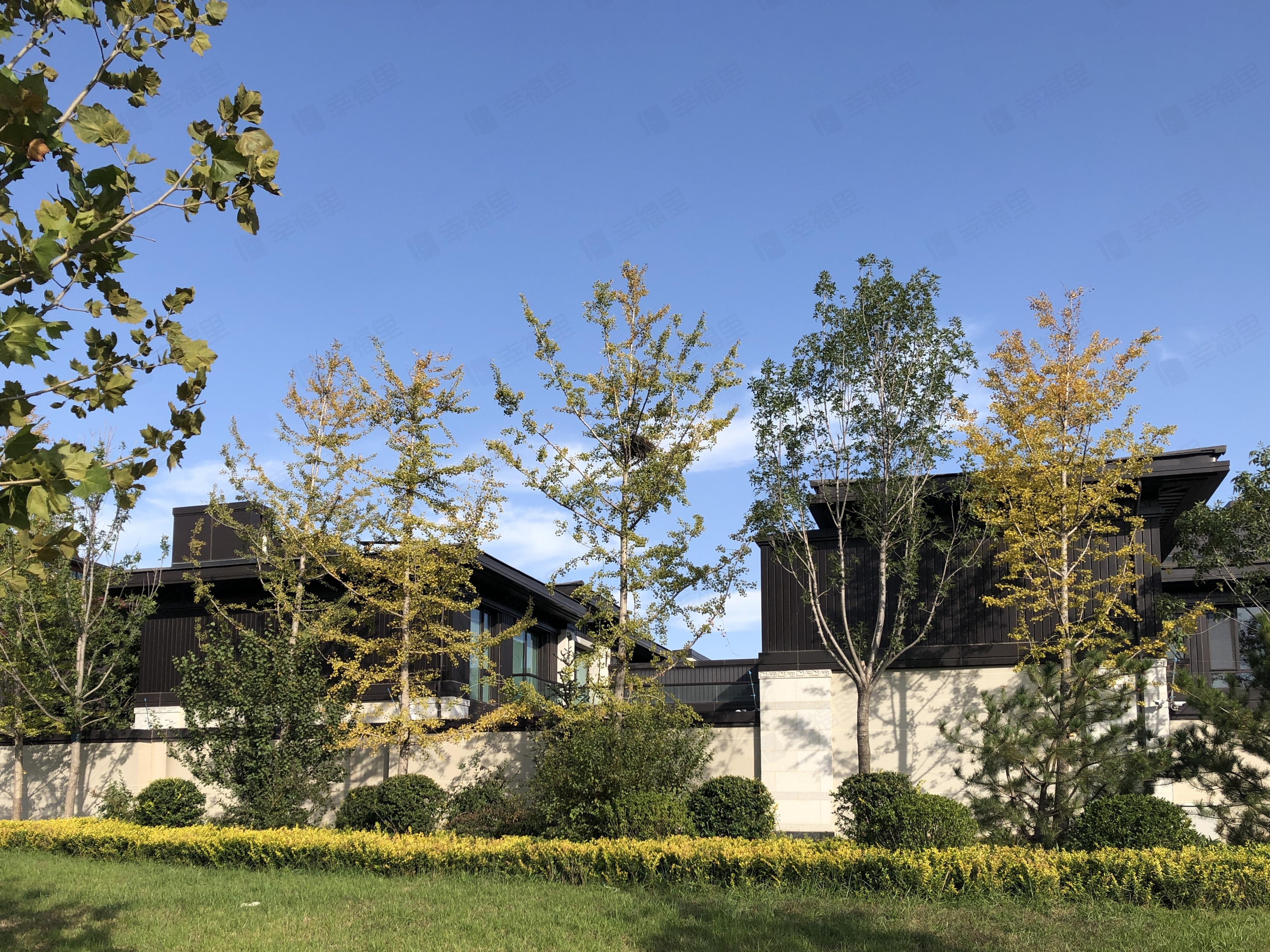 观承别墅小区效果图