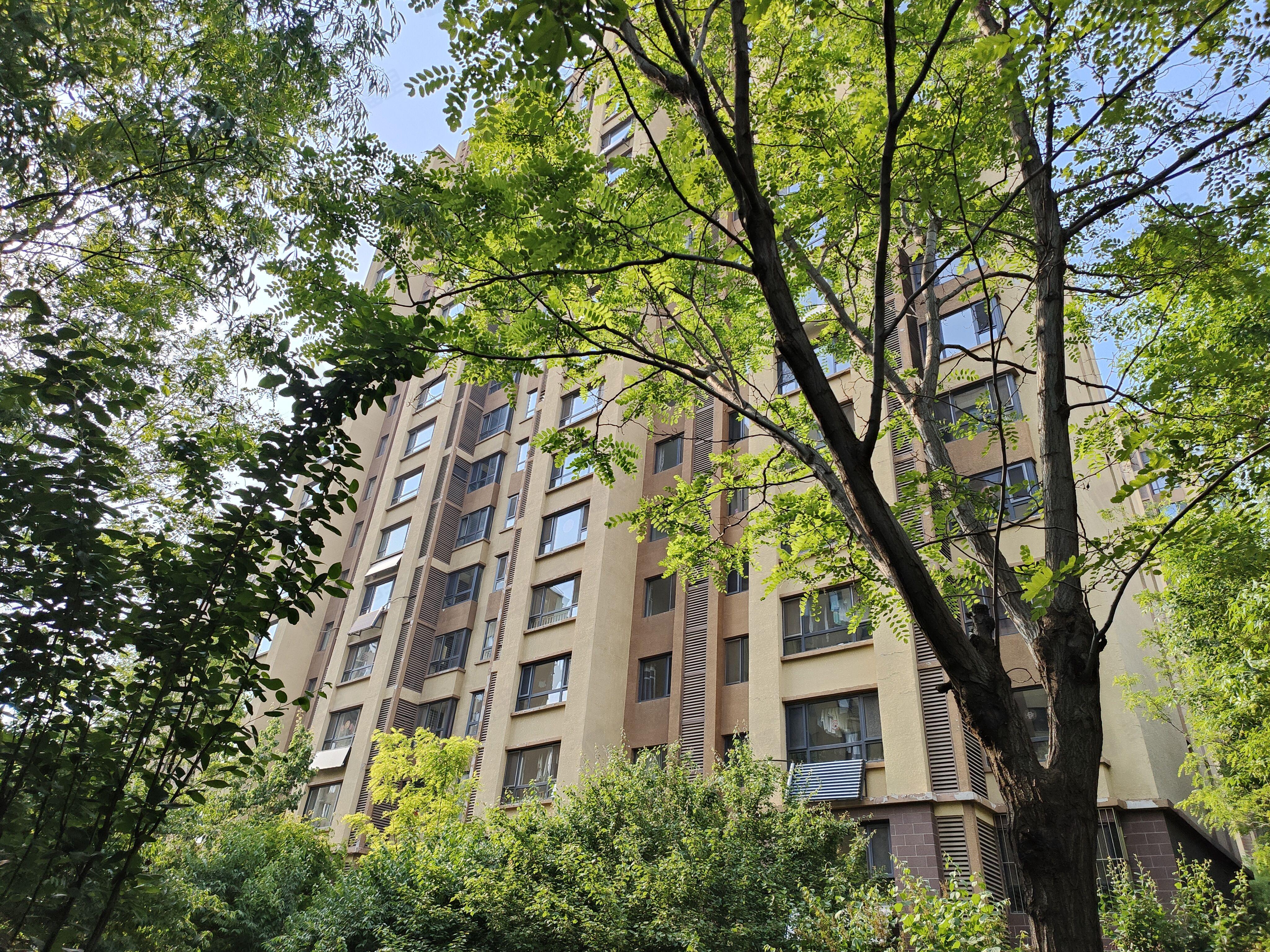 八十一号院小区效果图