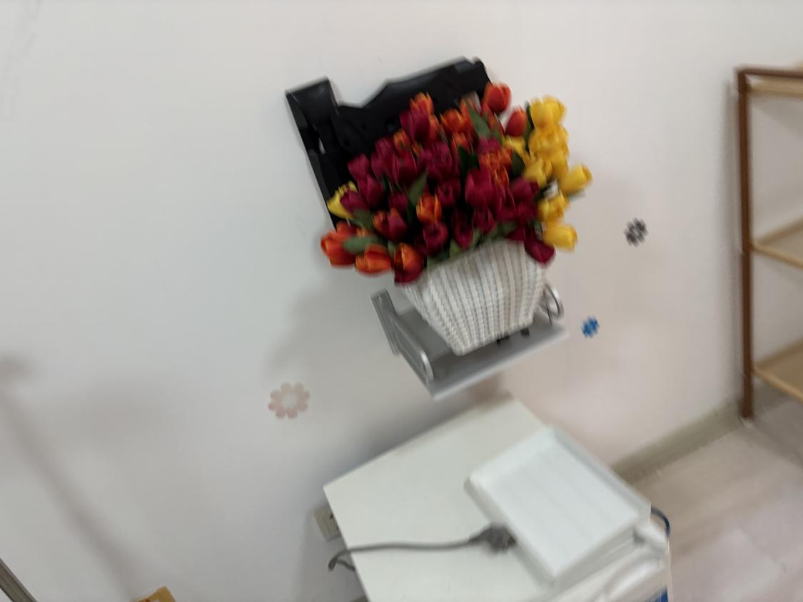 整租·宝鼎花园
