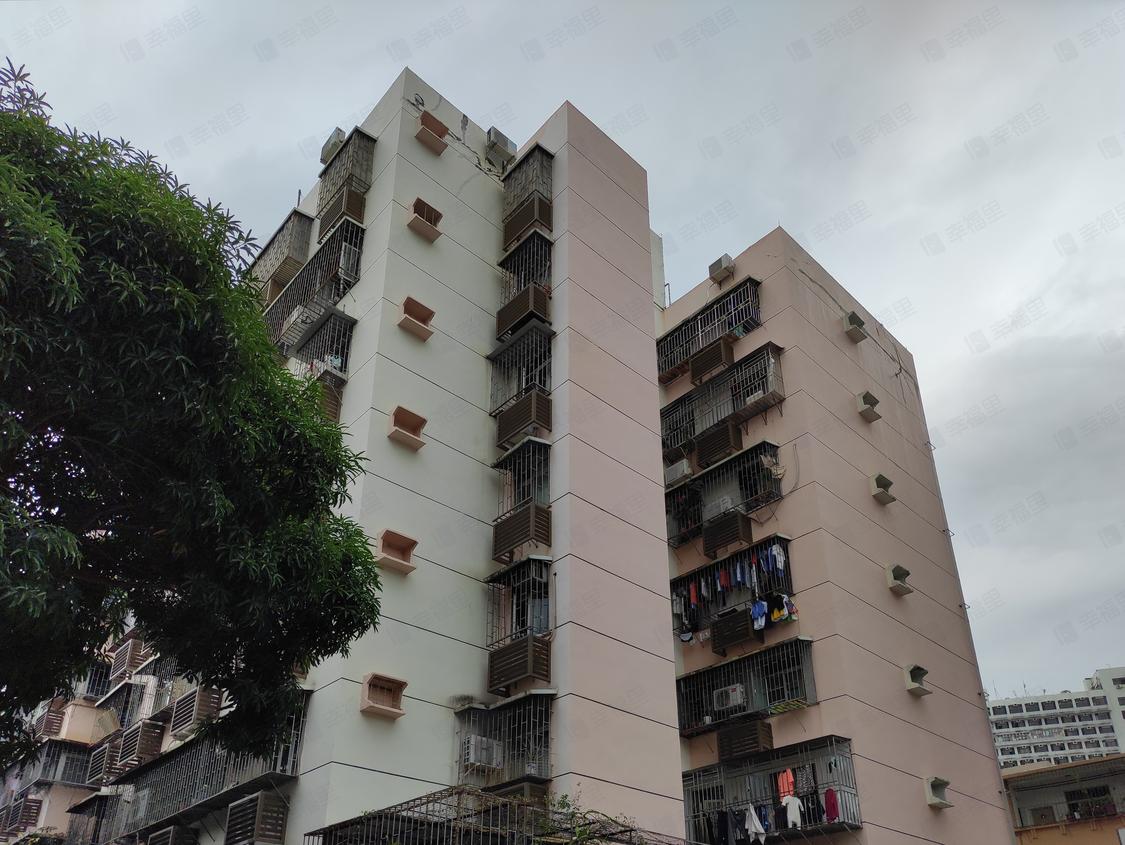 深圳罗湖-东门/1984年建书院街7号大院