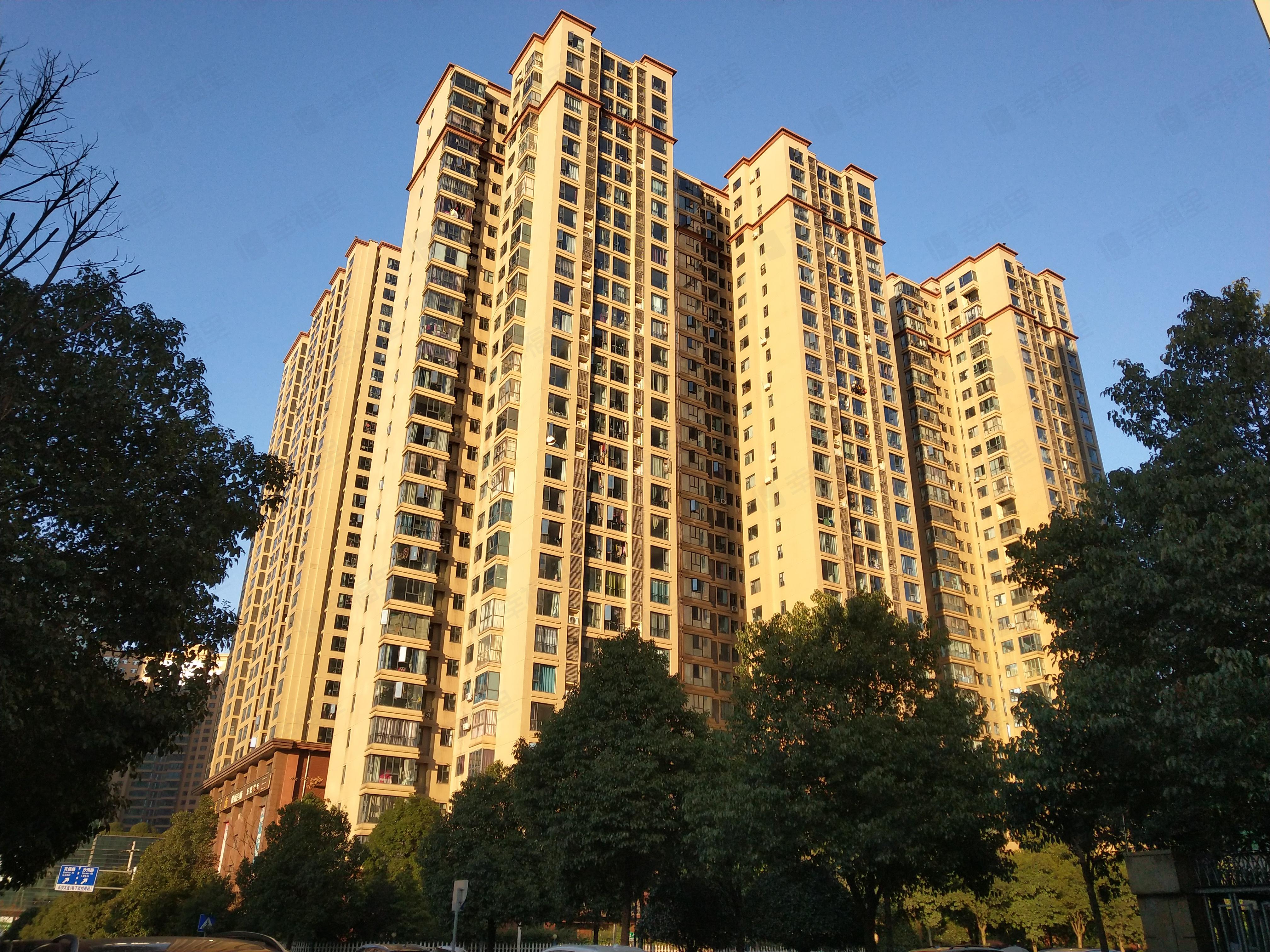 东城港小区效果图