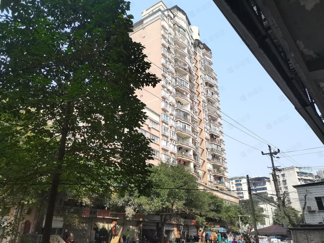 重庆巴南-李家沱/暂无年代土桥花溪大厦