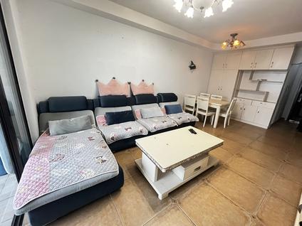 青山湖高新开发区整租 九仰梧桐公寓2室1厅/50平/高楼层