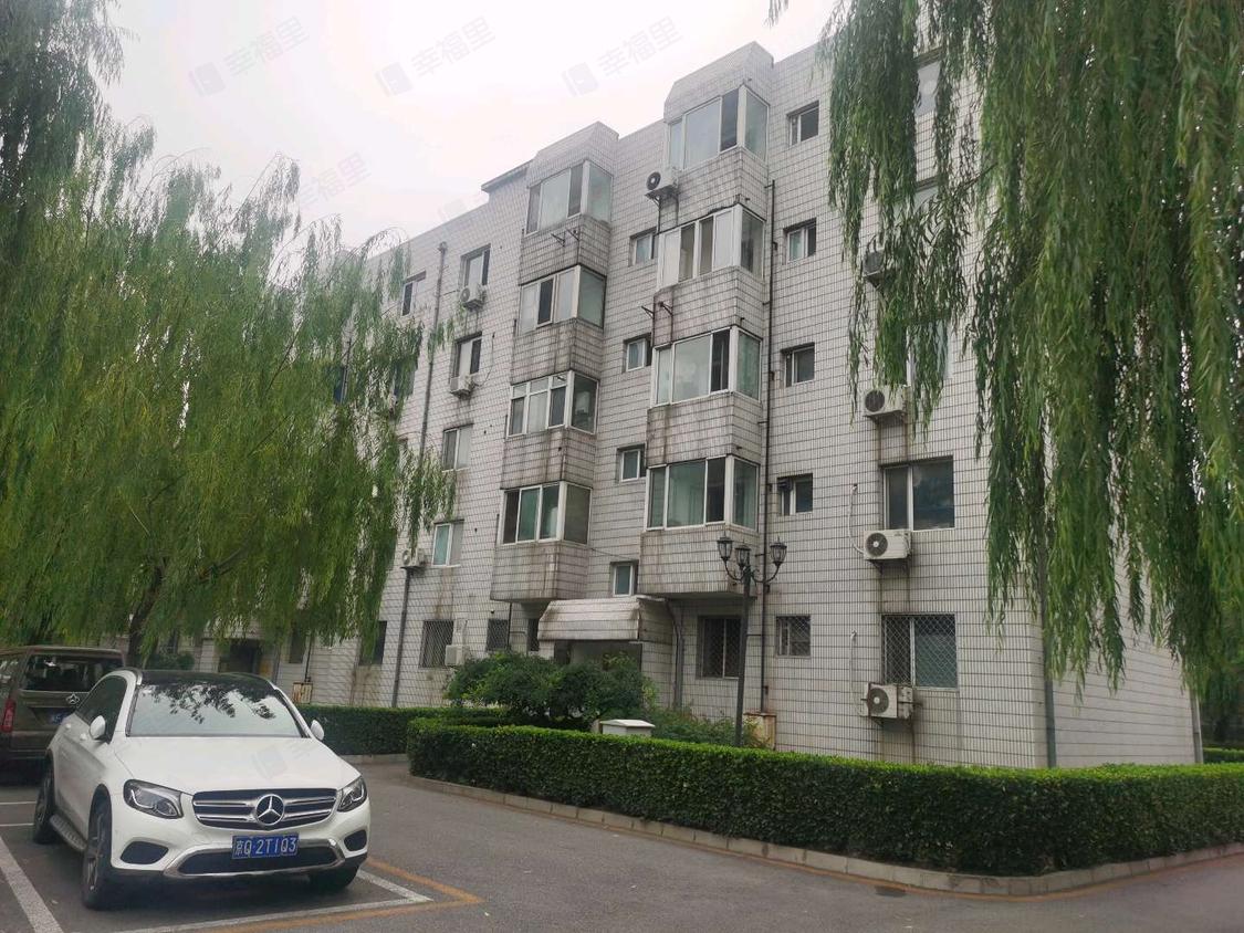 北京丰台-草桥/1995年建玫瑰花园