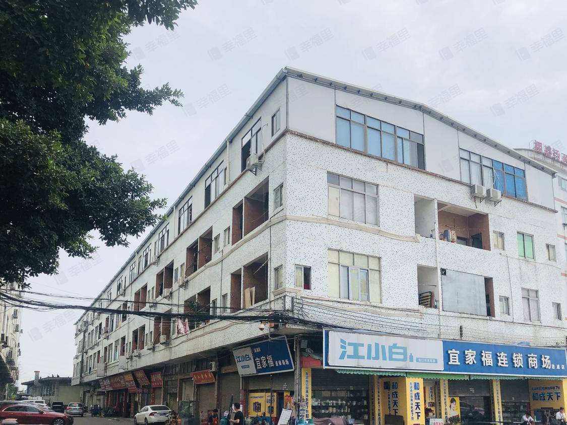广州番禺-南浦/暂无年代民兴路十二巷