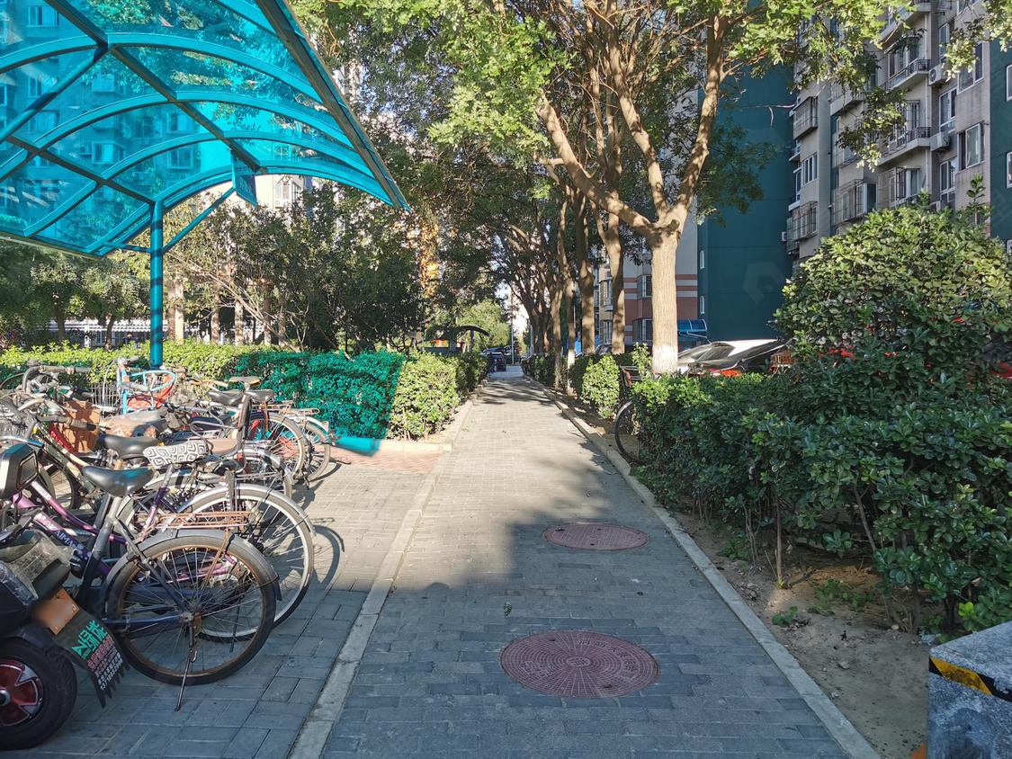 西局欣园(南区)点评,七里庄,西局欣园(南区)评价,业主点评,测评信息