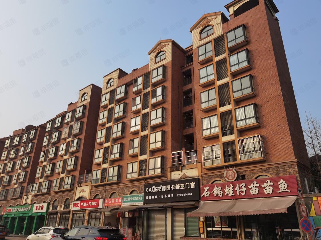 成都新津-新津/2009年建南洋国际庄园