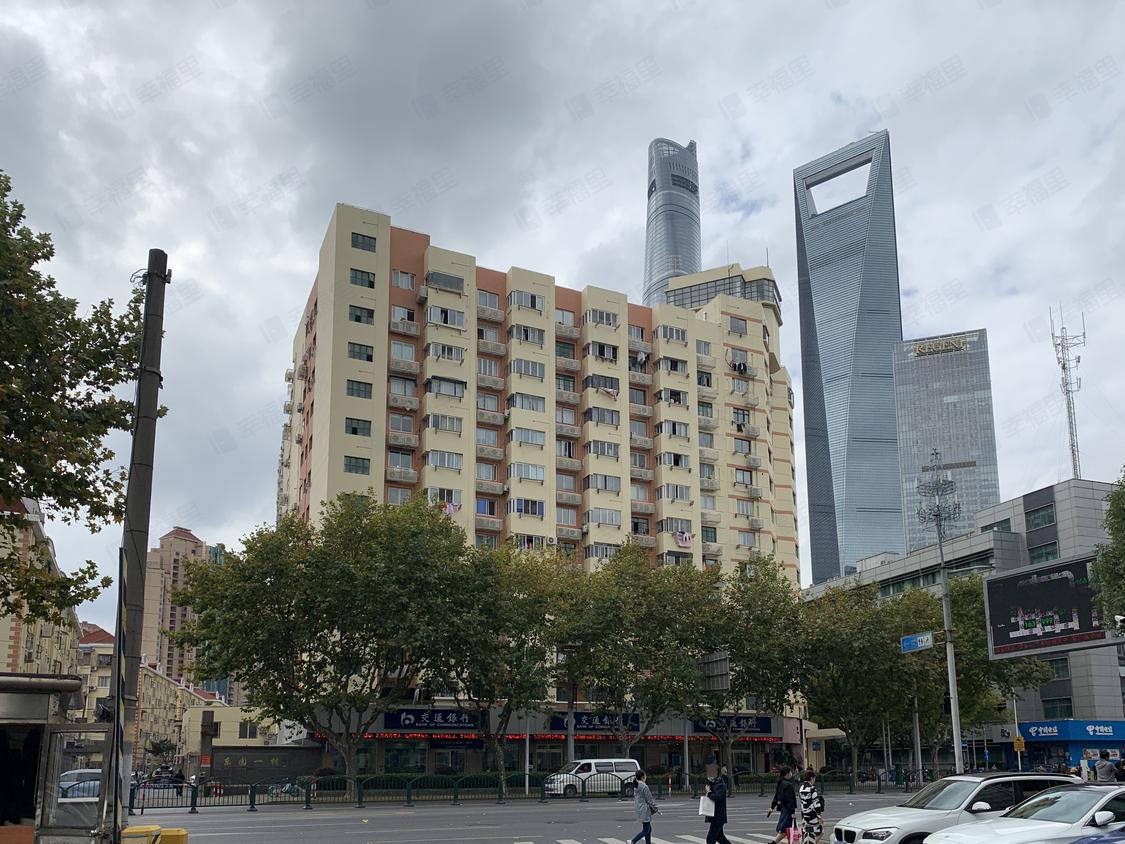 上海浦东-陆家嘴/暂无年代仁恒滨江园