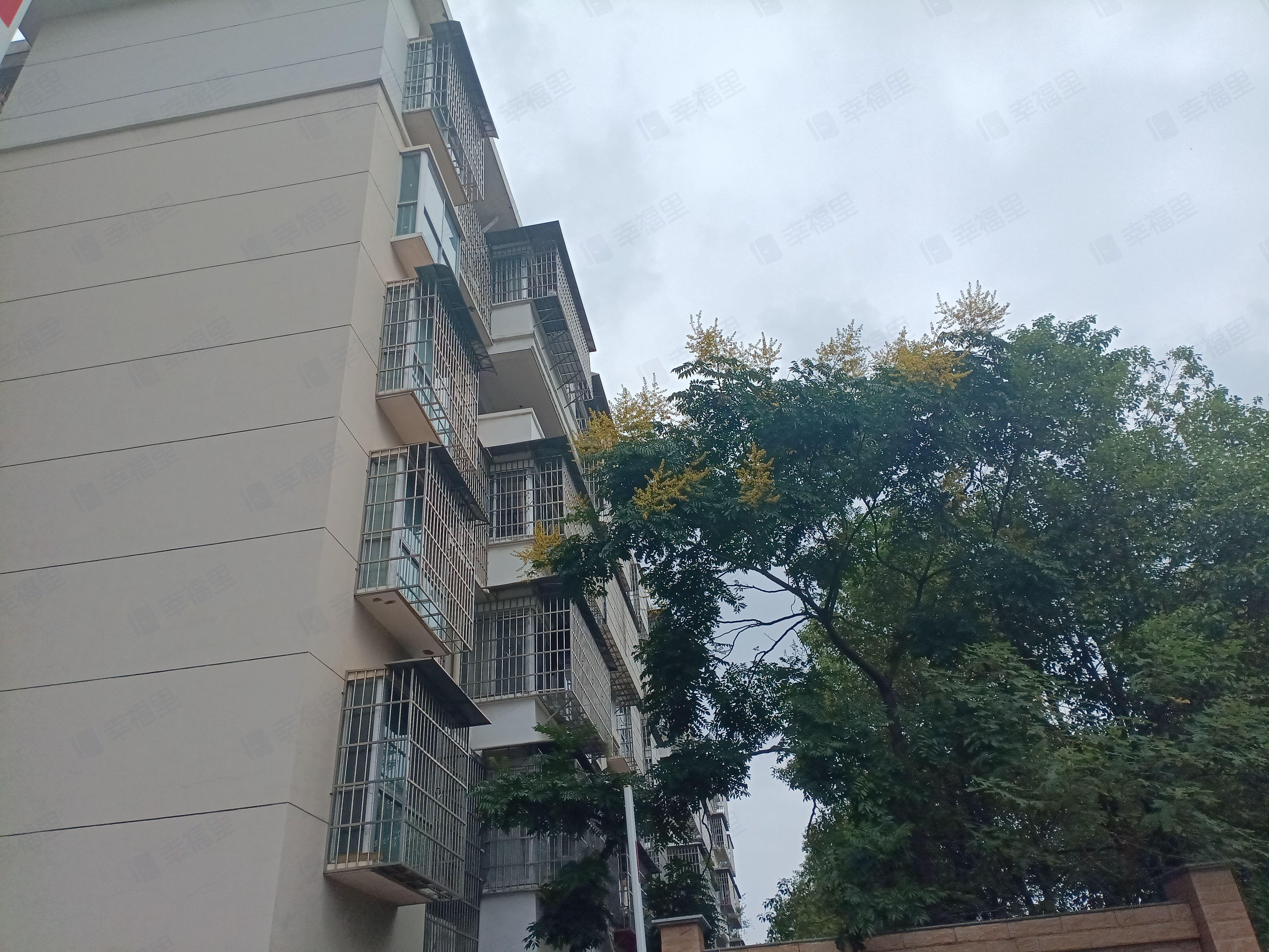 新源小区小区效果图